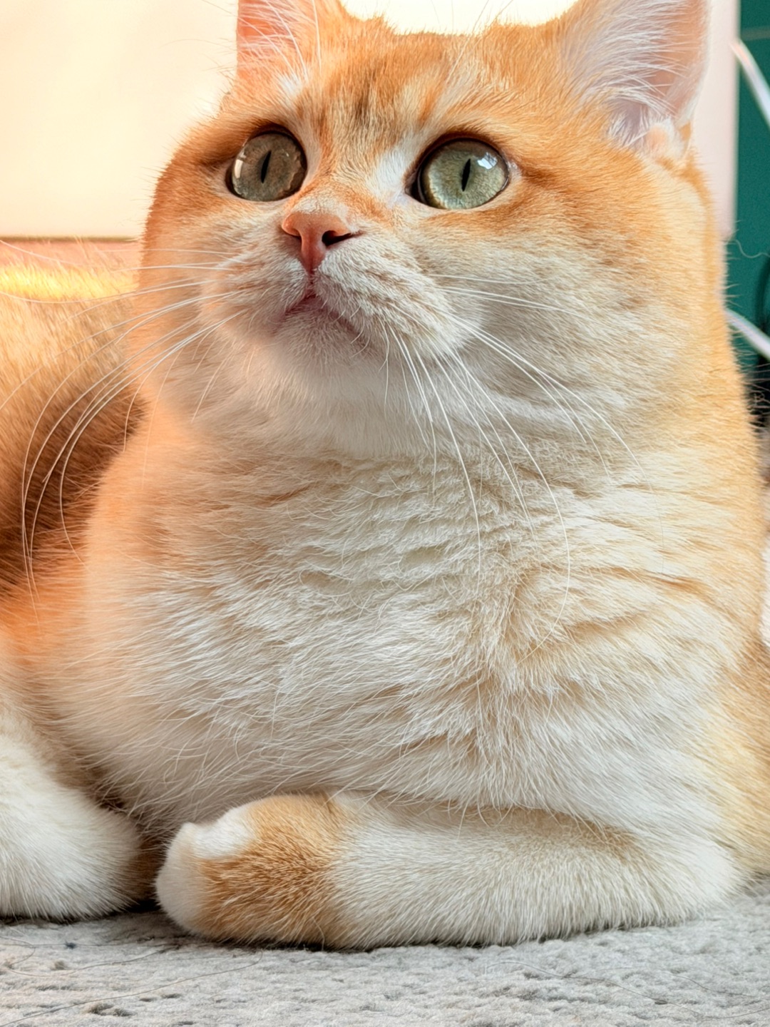 我看，我在看，我就喜欢追着光🌟走