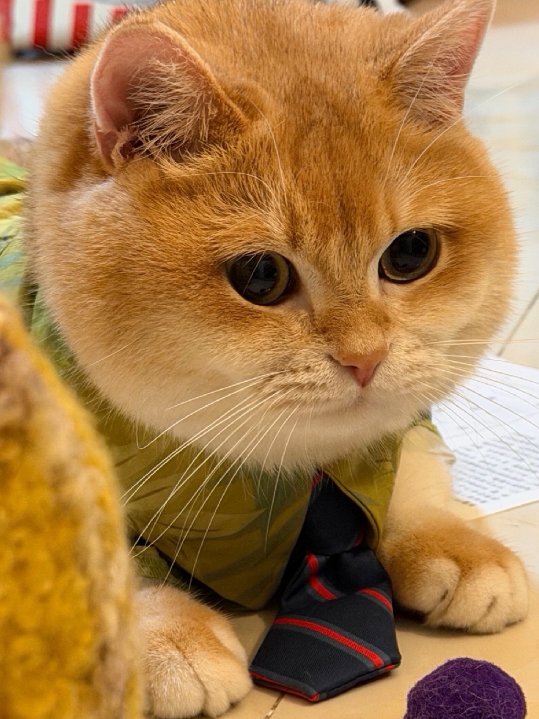 麻麻 ～ 我的头有没有很圆🤣🤣嘻嘻