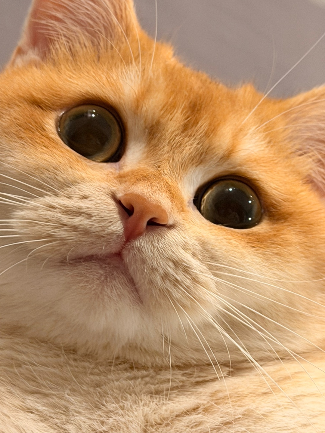 我这是看到了什么！或许我还有更好的办法