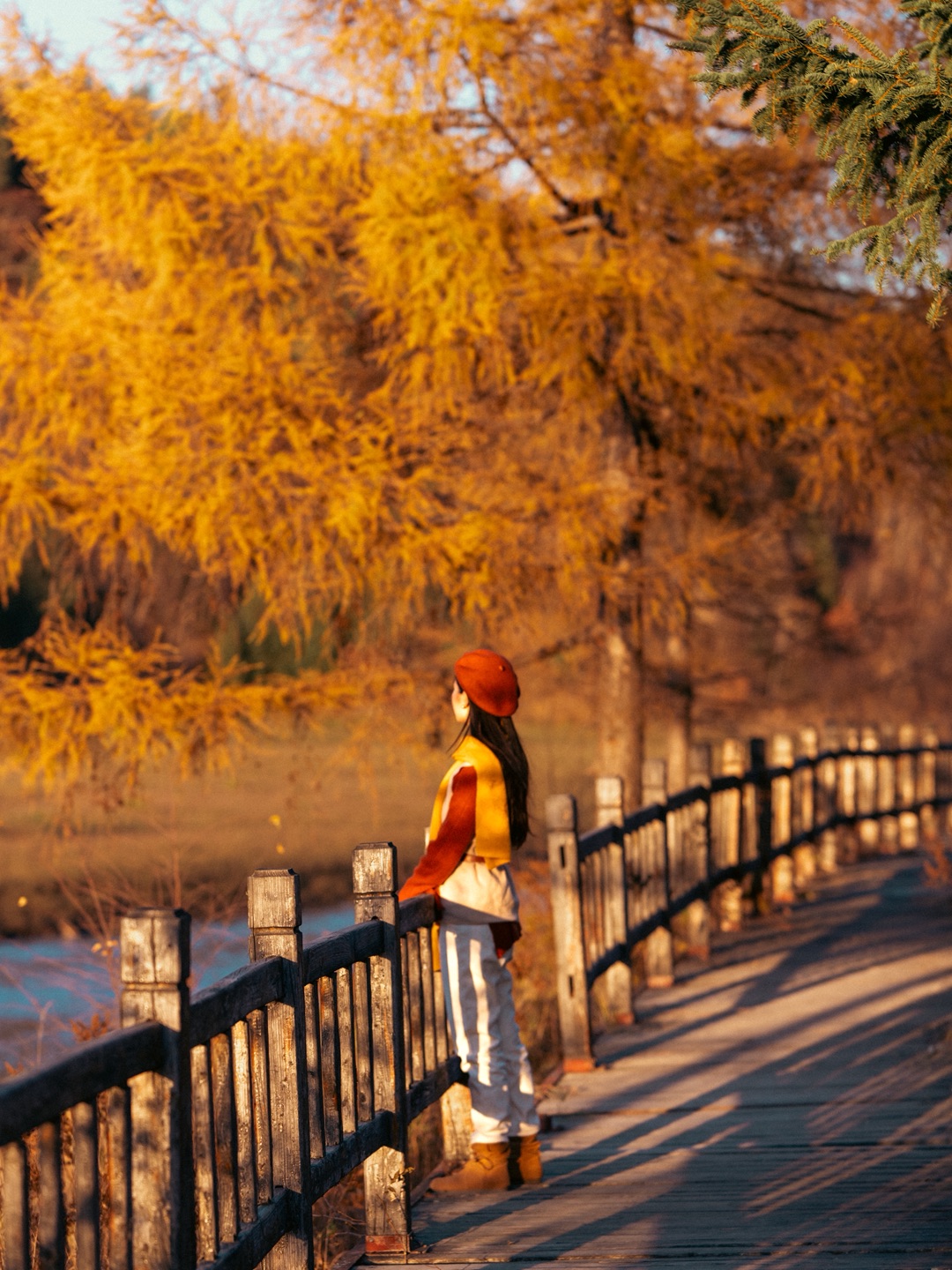 小兴安岭·秋🍂
