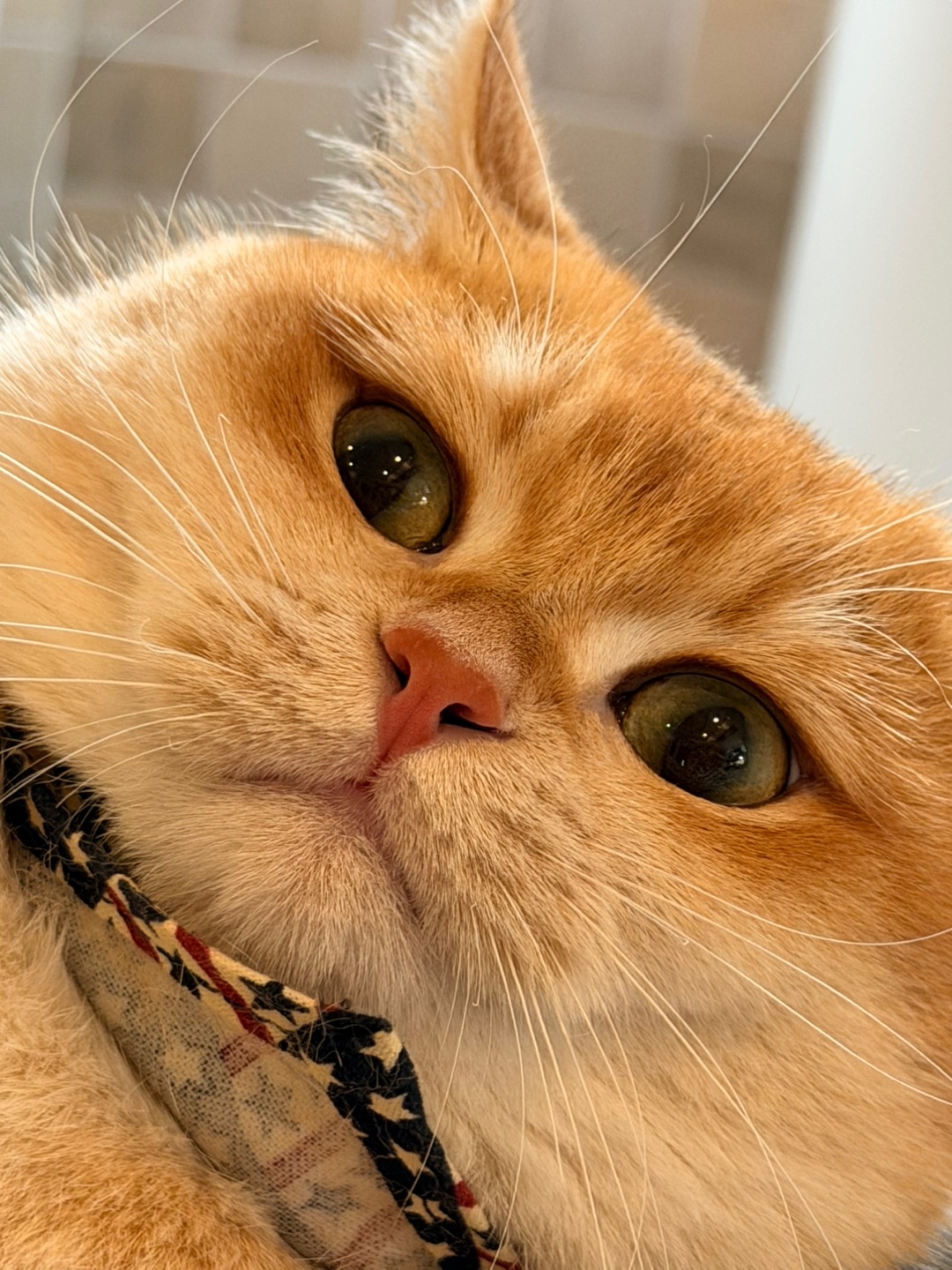 贴脸拍的我，脸是不是圆乎乎的超可爱？