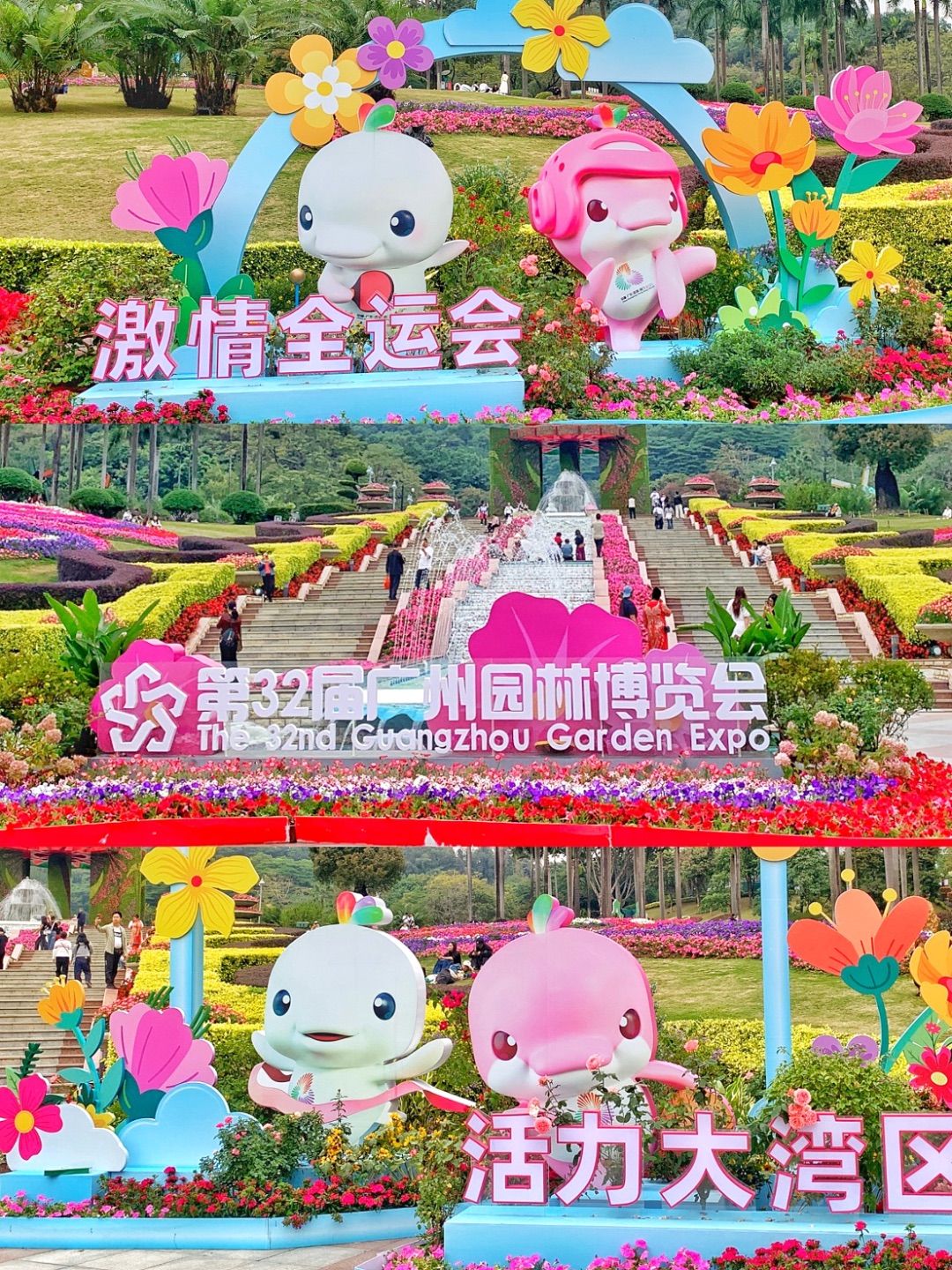 “大湾鸡”所到之处活力四溅，花花世界任它闯