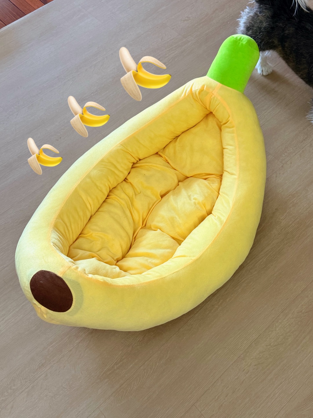 西五街