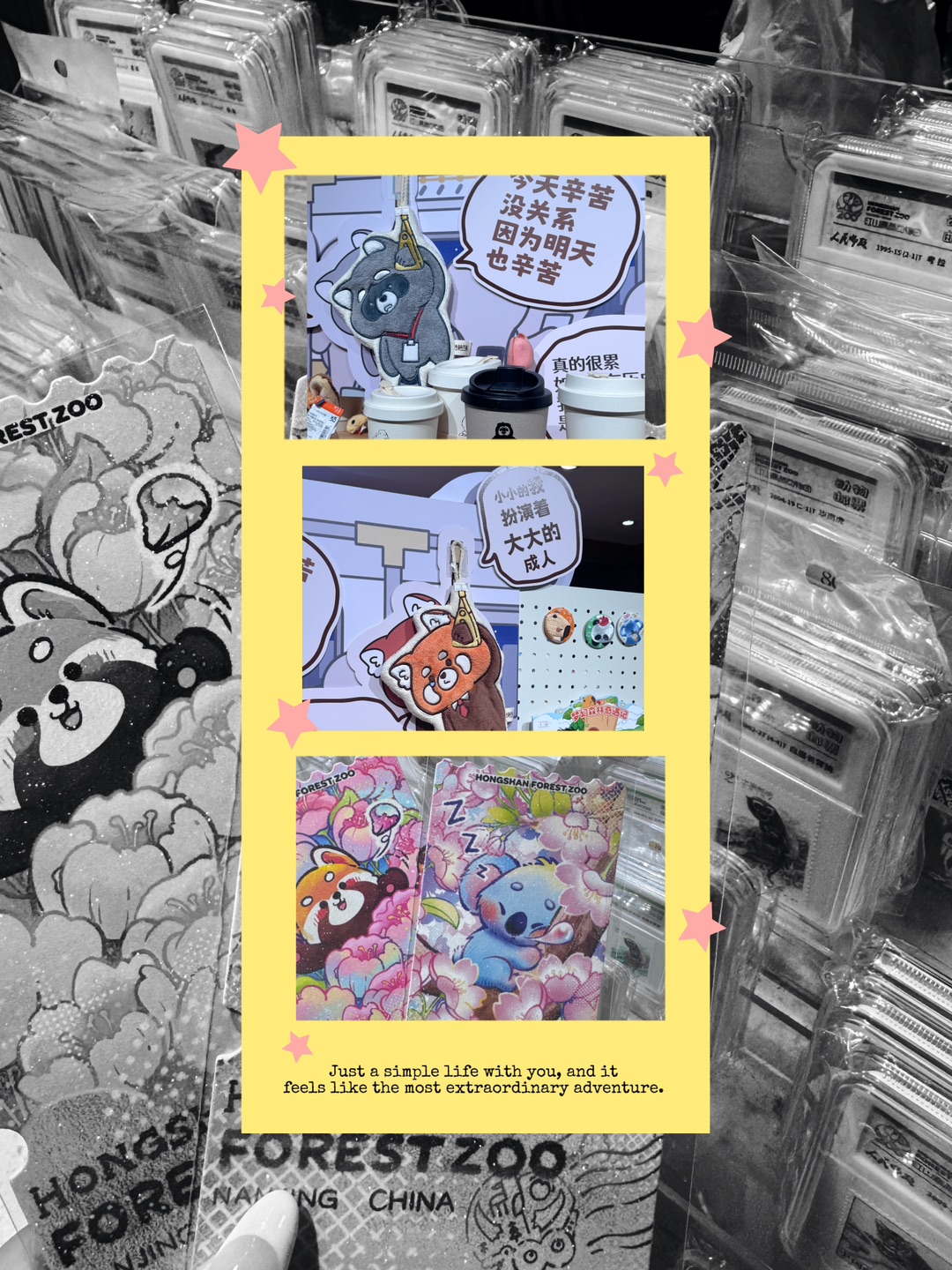 是谁还没去过南京红山动物园啊！