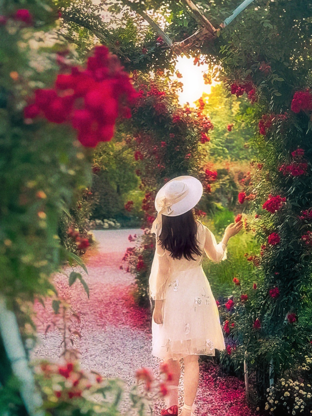 《花之圆舞曲》