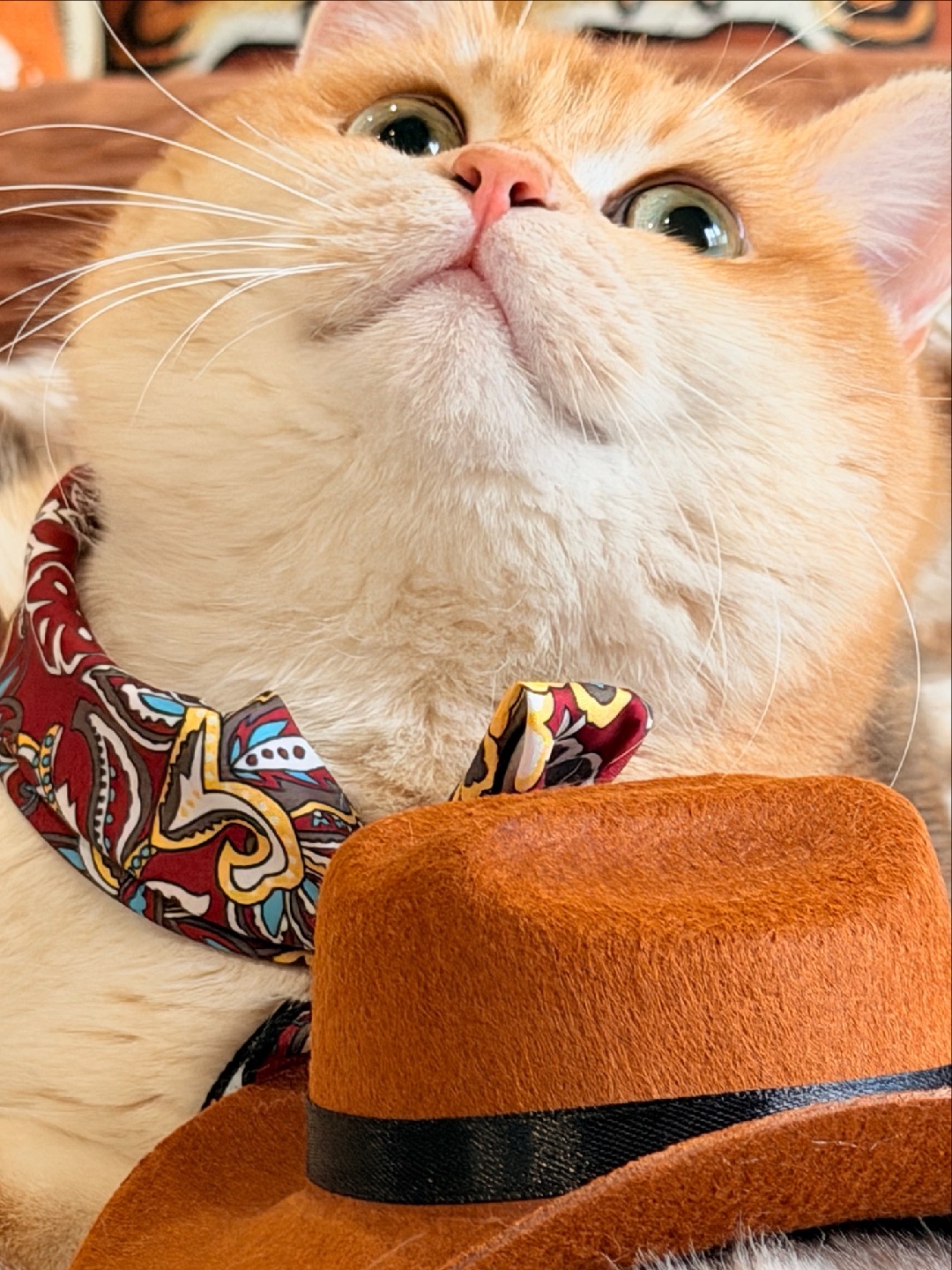 我想这样懒懒的靠着🫣🫣🫣