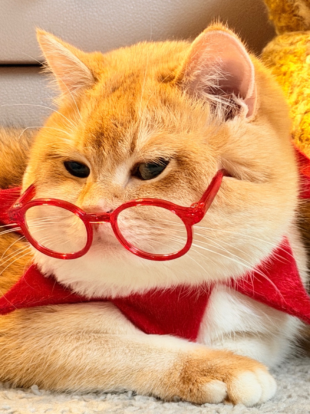 身材太有分量，要戴些“有分量”的配饰 💗