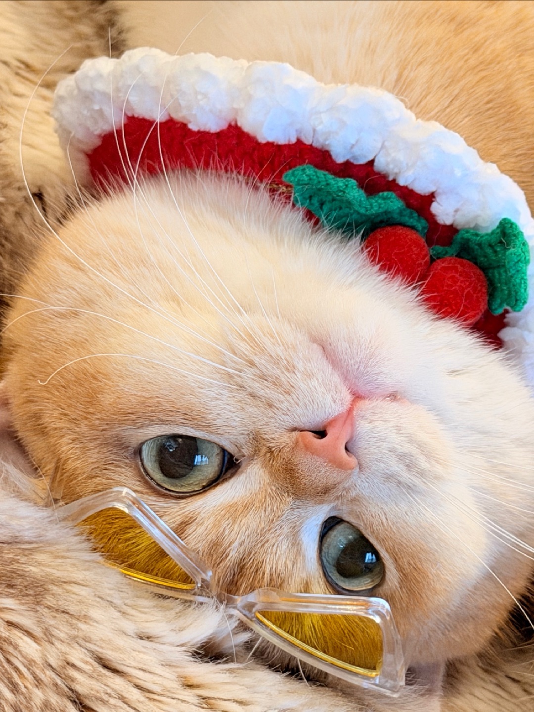 结果一不小心就睡着了...