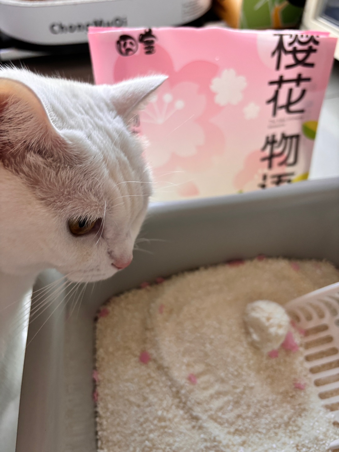 1.18囧宝木薯猫砂