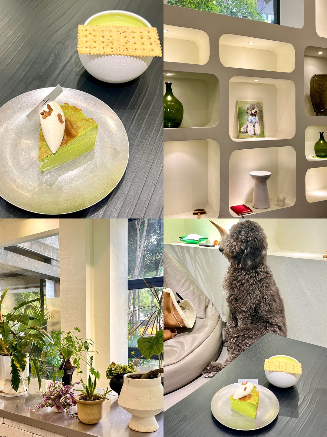 杭州被绿意包围的咖啡店☕️🍃