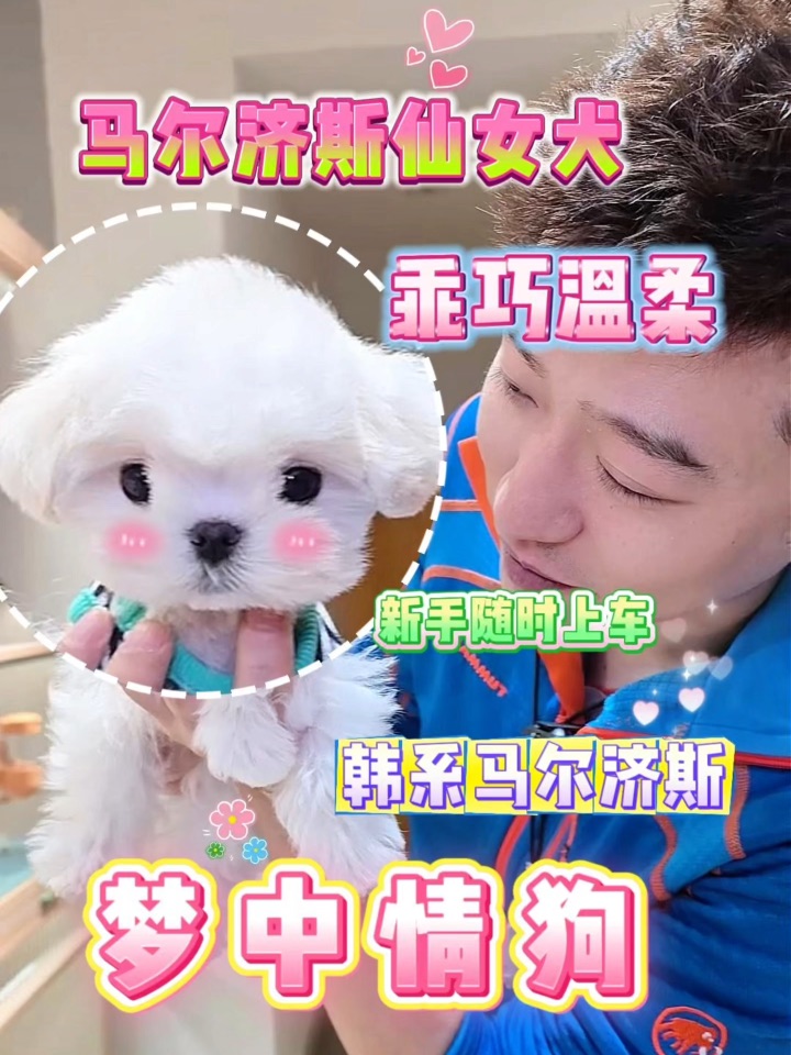 被问800遍的“棉花糖小天使🪽”来咯～