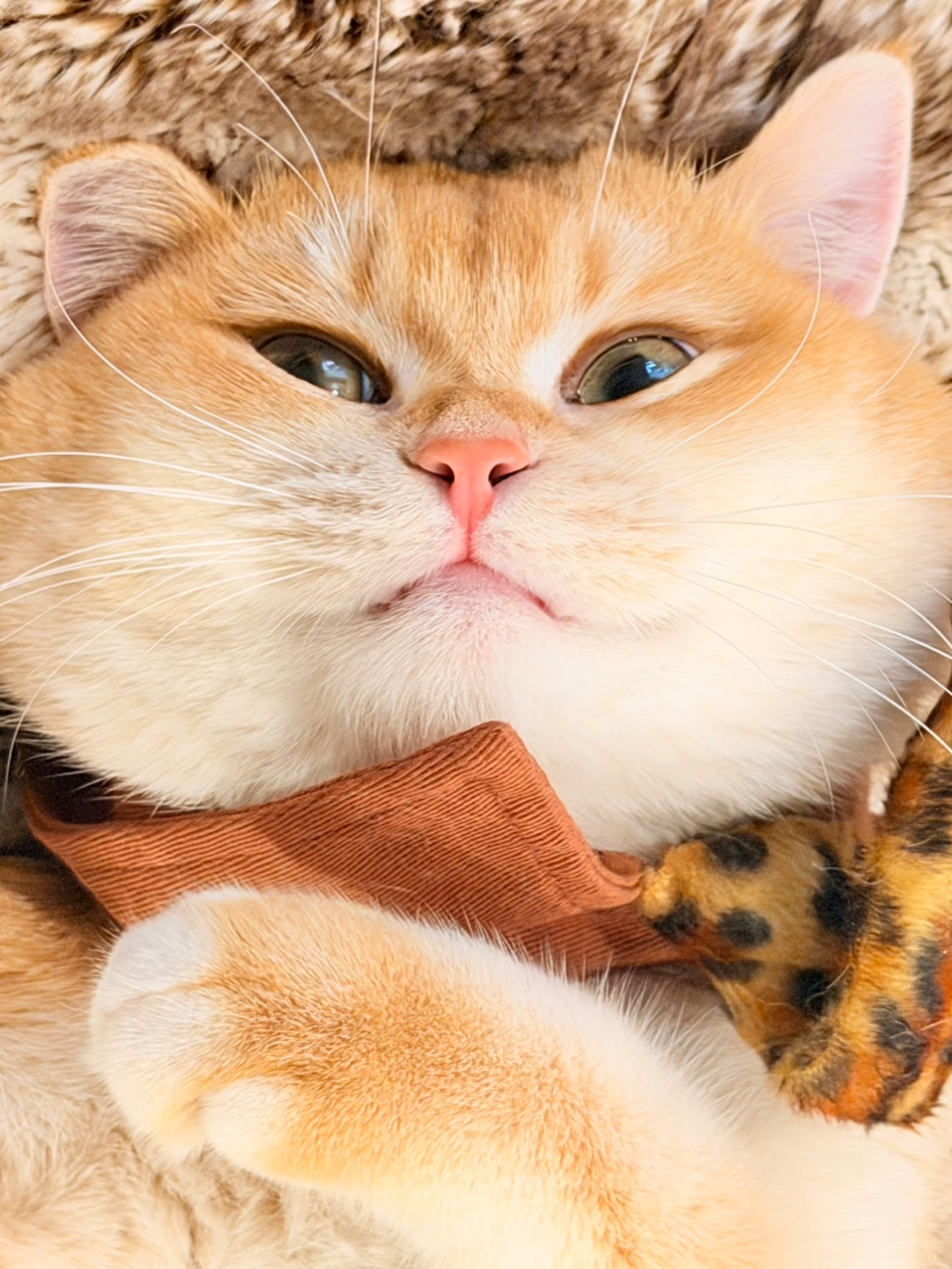 嘟嘟嘟嘟嘟～ 我粉嘟嘟的小嘴巴👄