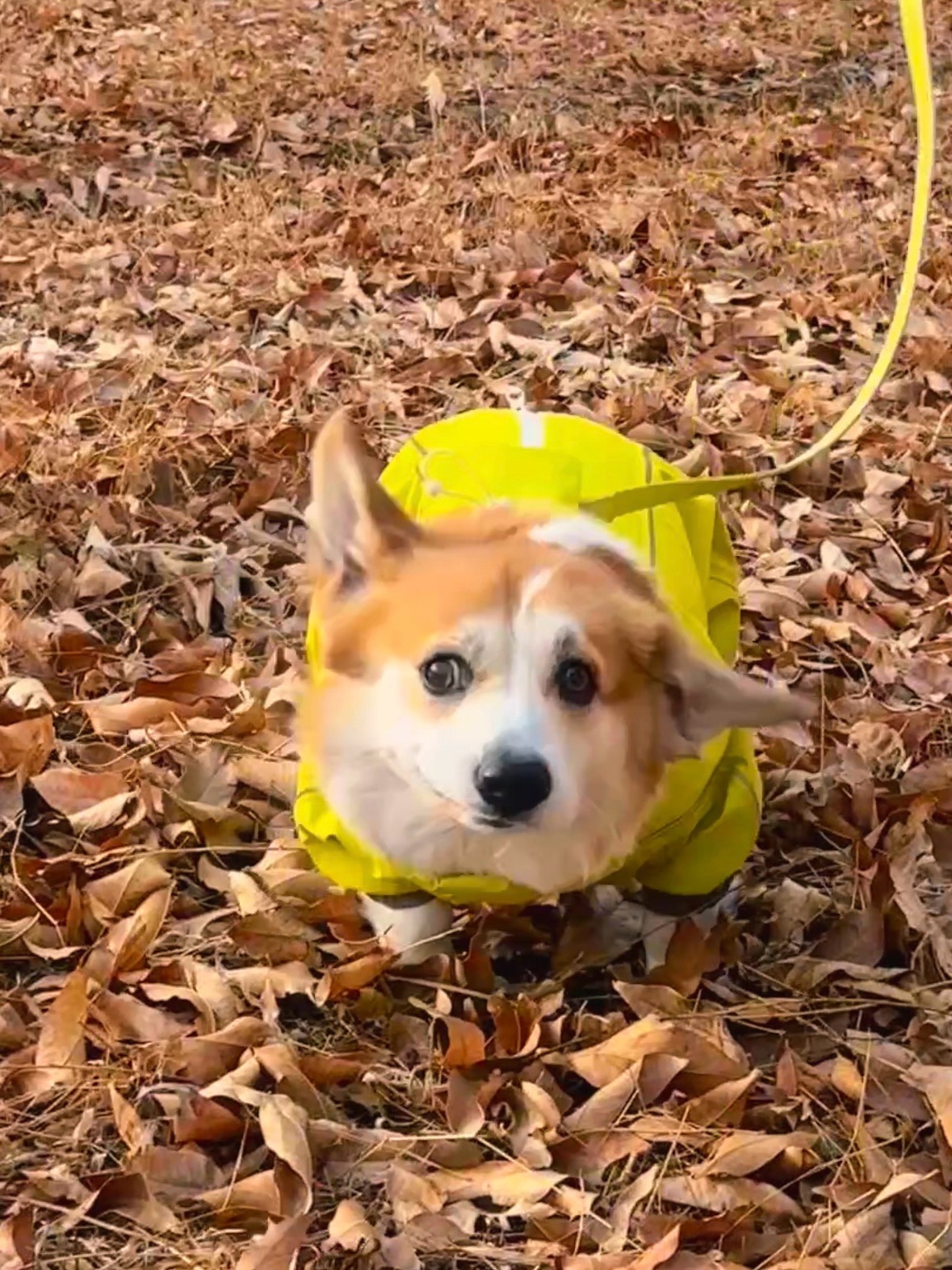 overdrive挑战？！小case😏