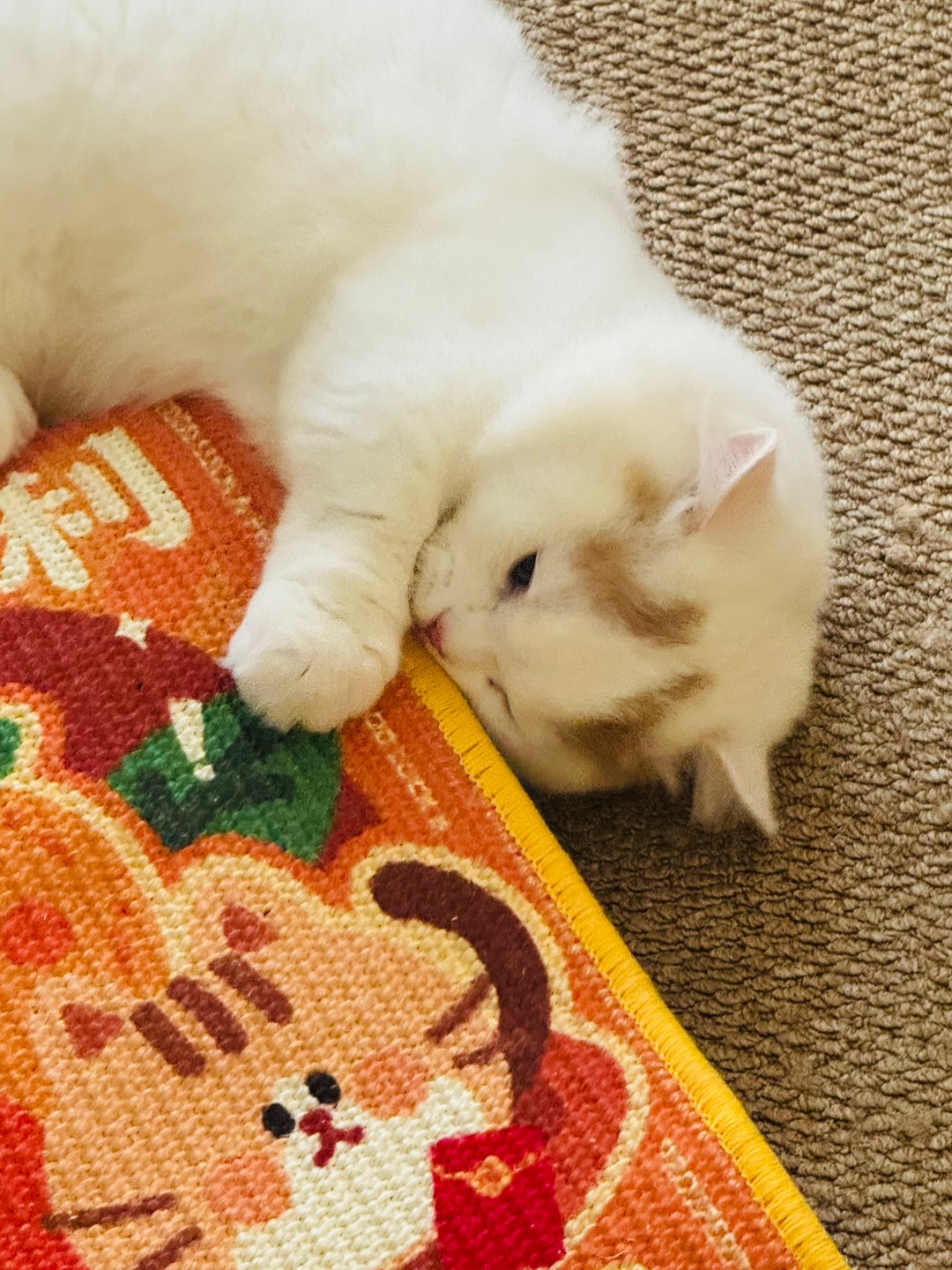 这个猫抓板好看的像副装饰画