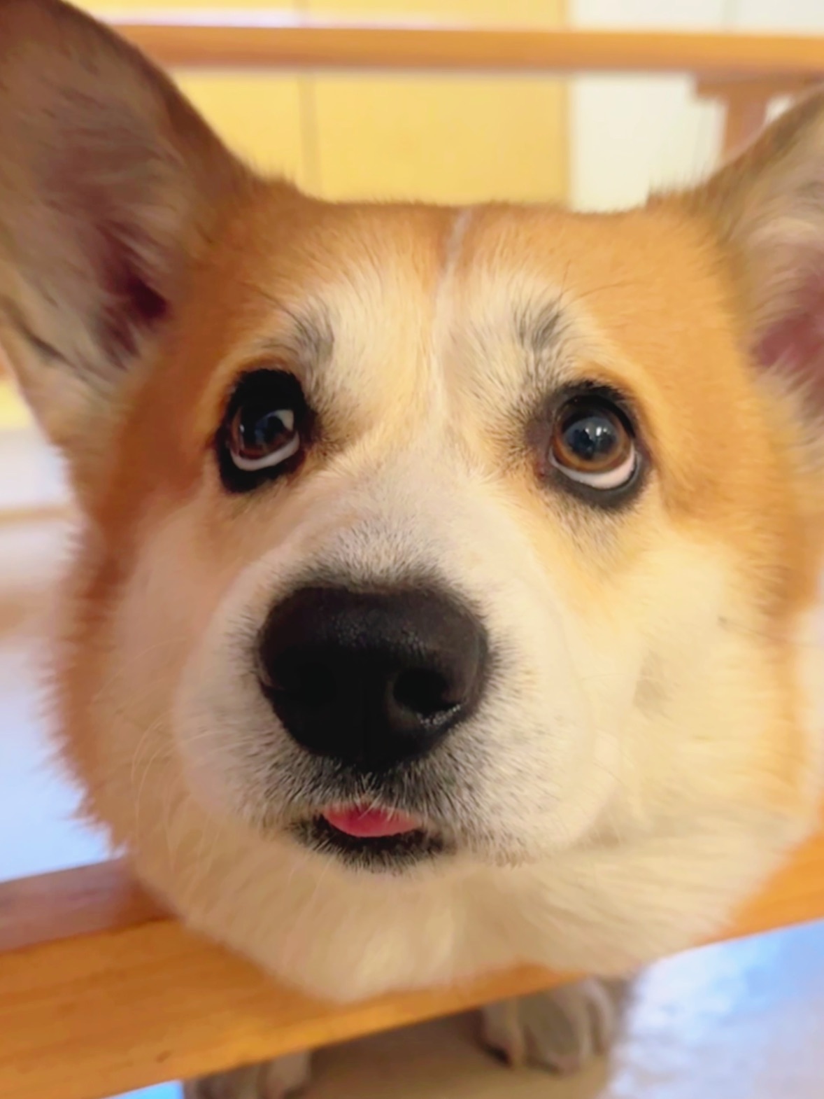 生气不挂脸上🙄难道挂墙上吗