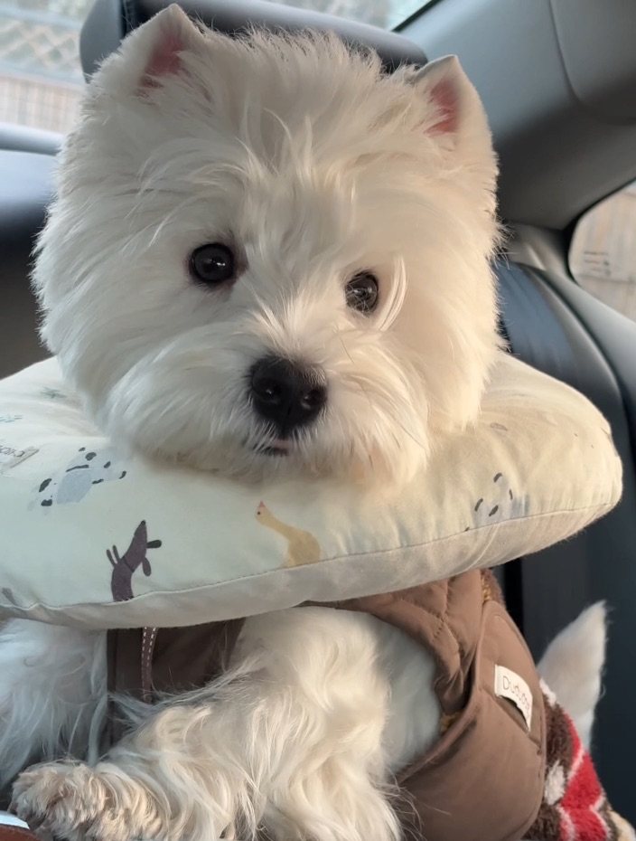 凭什么没看上我呢！