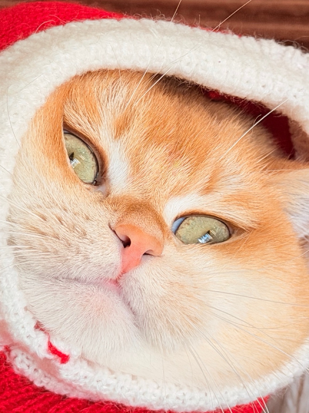 看到我这双“富贵眼”了吗？