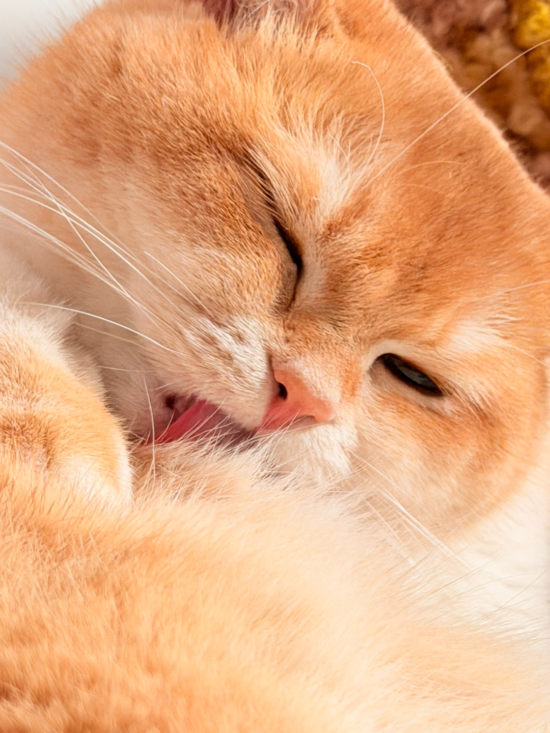 突然想次烤面包🍞🤤