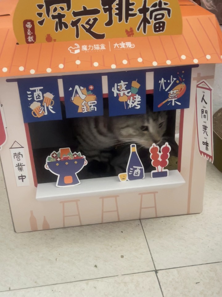 1.14 老板吃样品啥意思