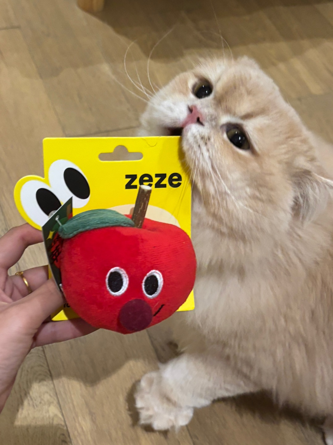 zeze苹果玩具测评版