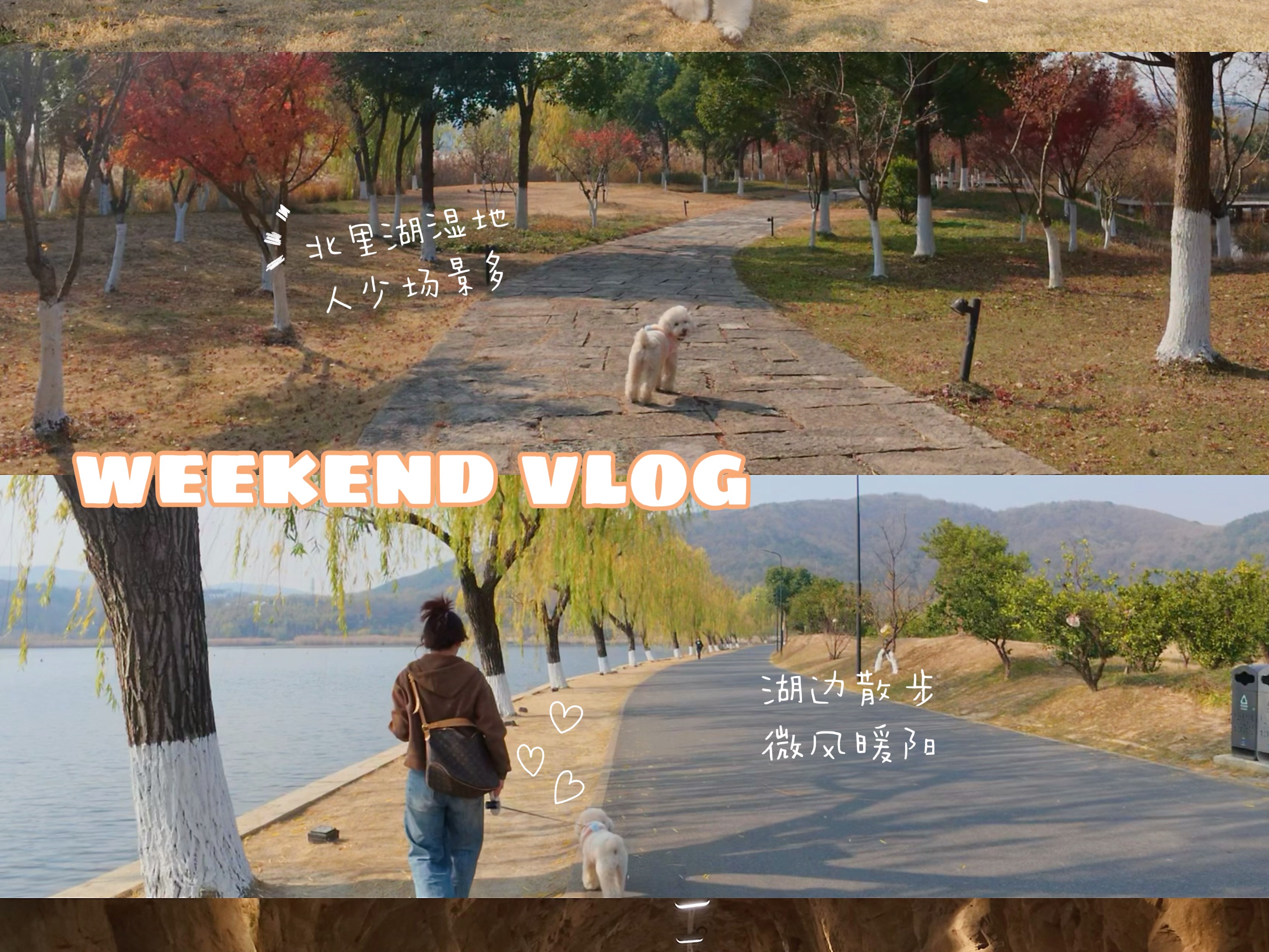 幸福是多么容易的事，湖边散步拥抱阳光