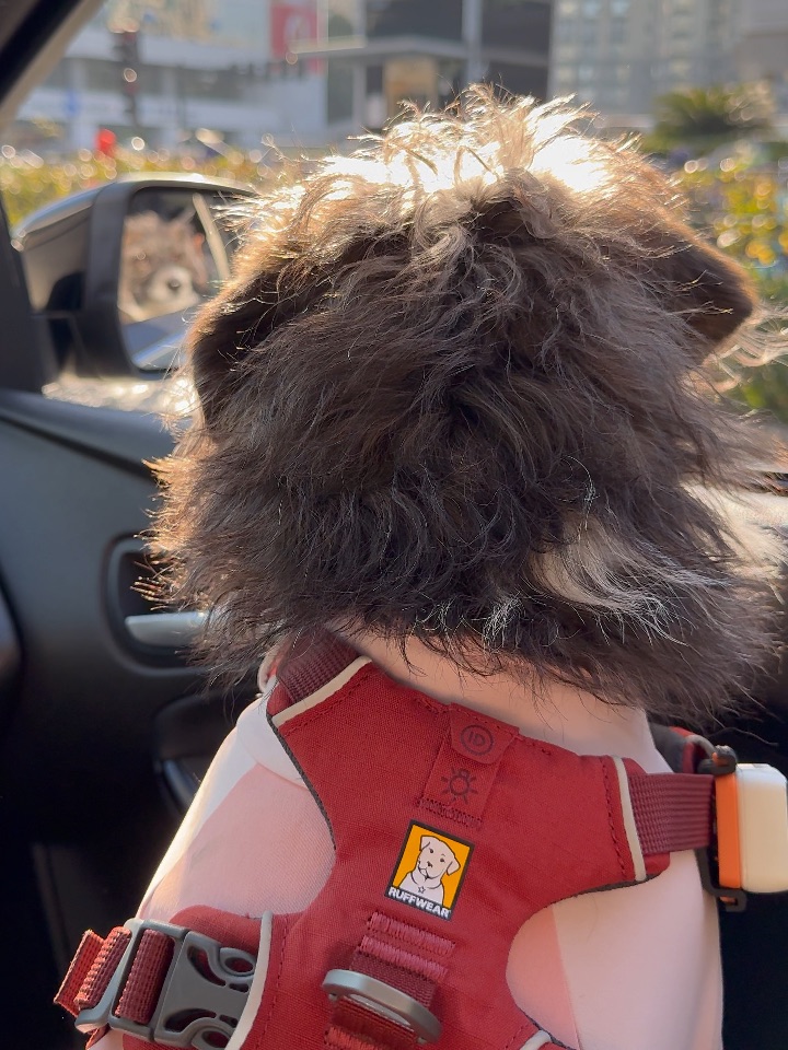 在闪闪发光诶💖