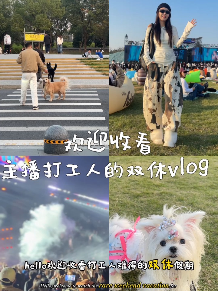 打工人难得的双休