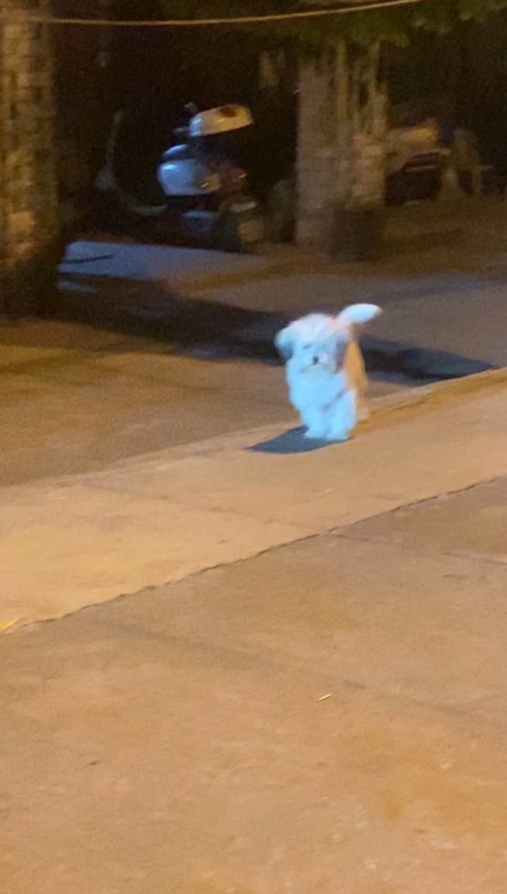 26.1.15 “余华” 你要干嘛