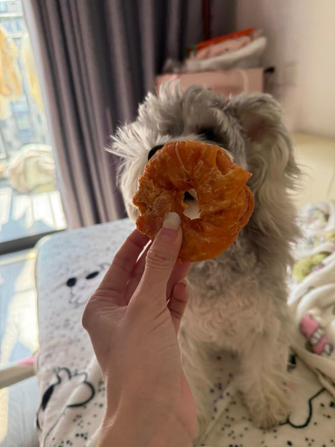 小狗抵抗不了的美食舔舔圈