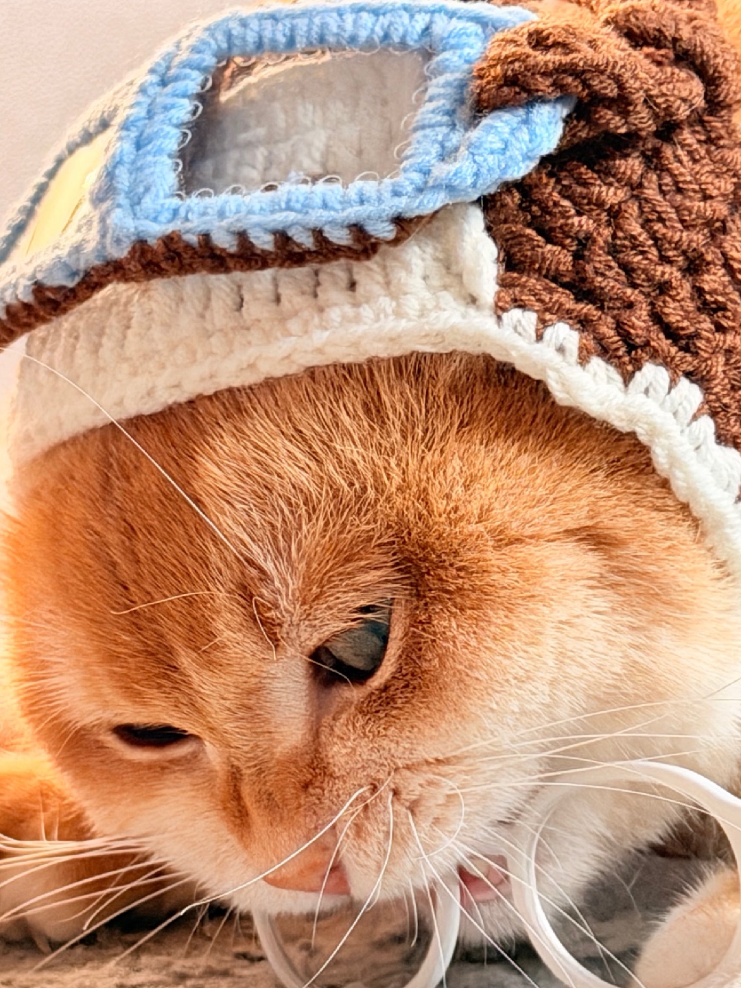 “虎头虎脑憨憨兽”！🤩🤩🤩