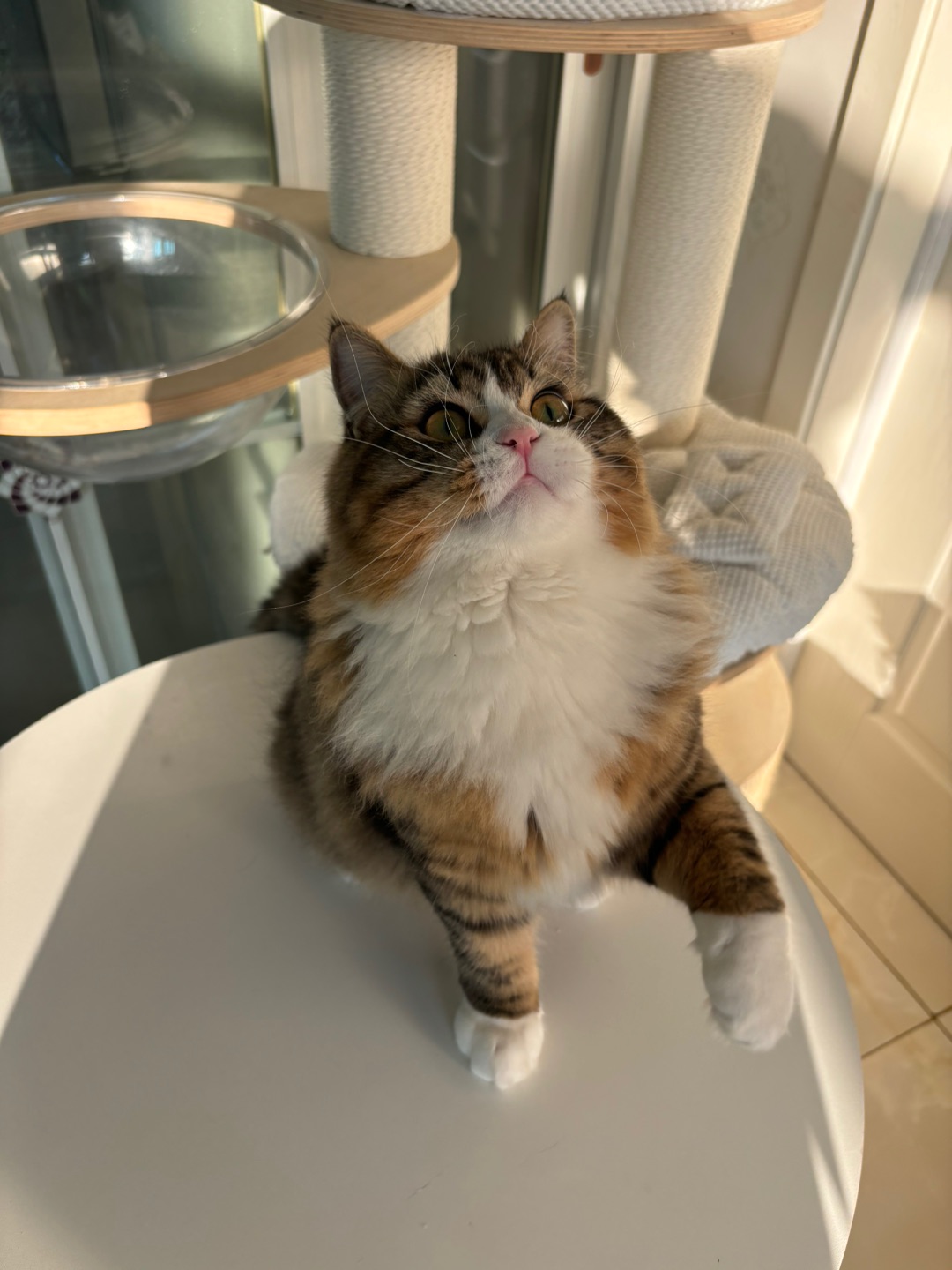 ヽ(^0^)ノ(*´▽｀)ノノ(^_^)ノ(^_^)ノ(^-^)/ヽ(^0^)ノ