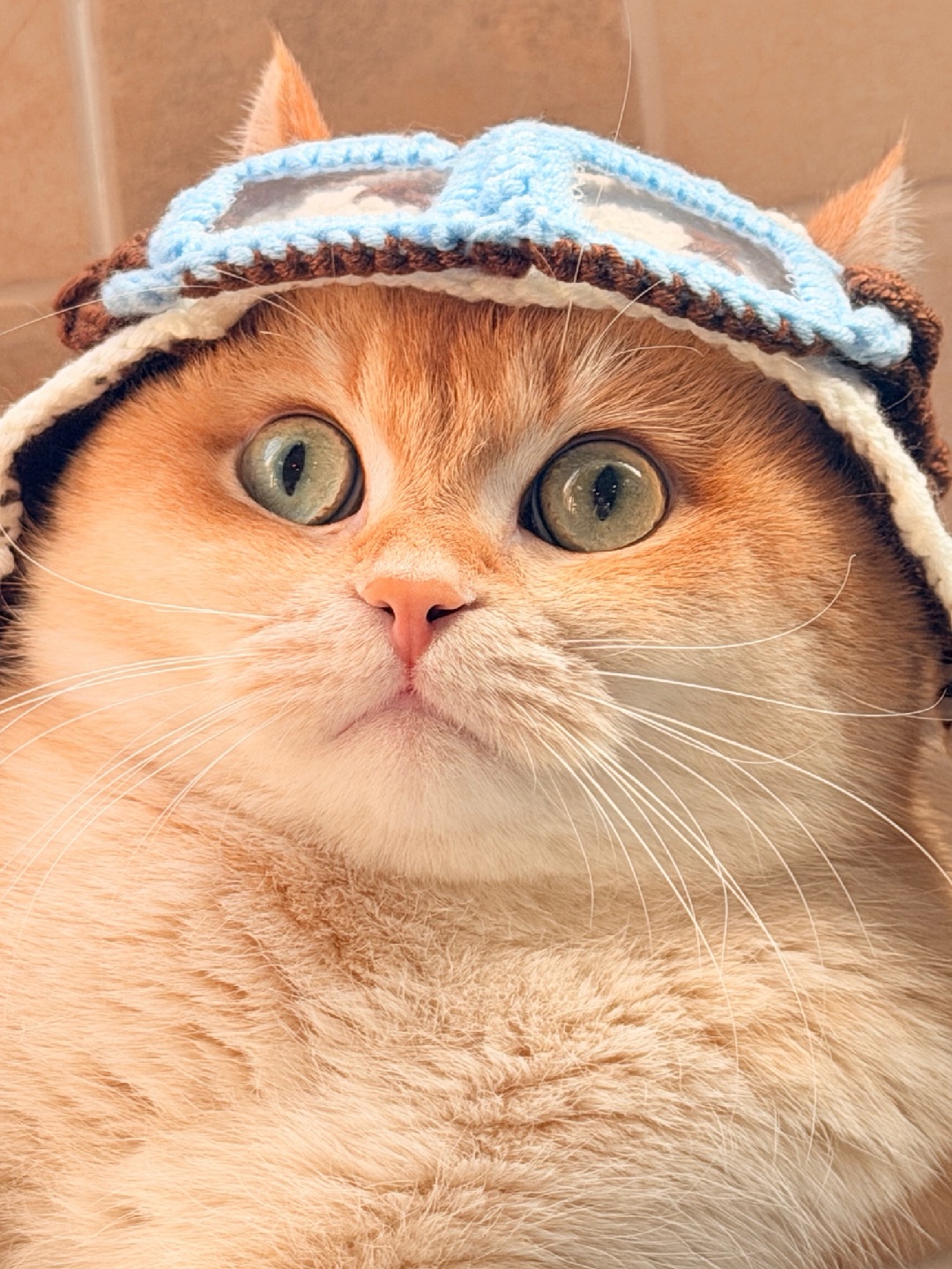 💭我的志愿是要当一名飞行员