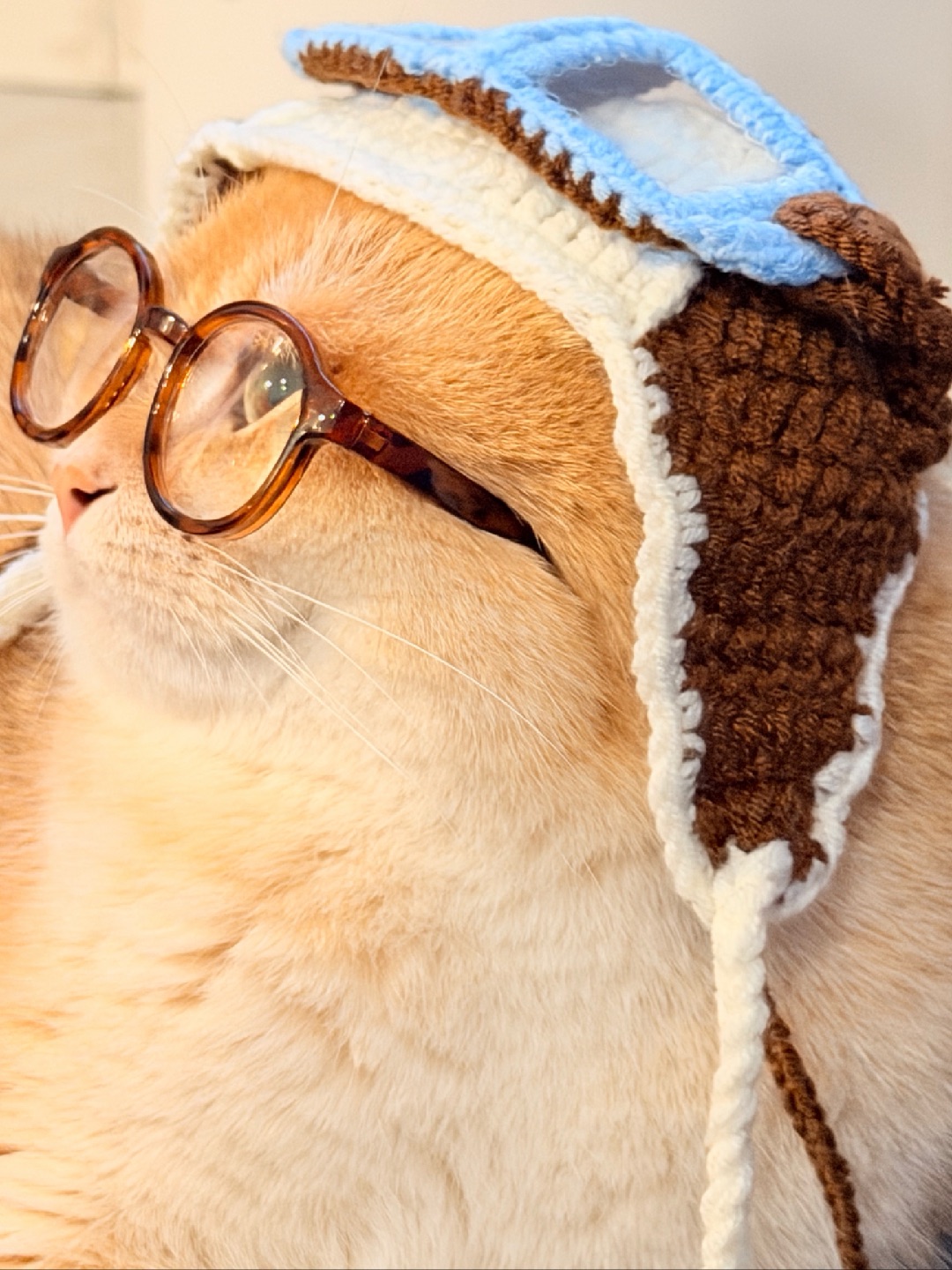 👀看我像舒克还是贝塔