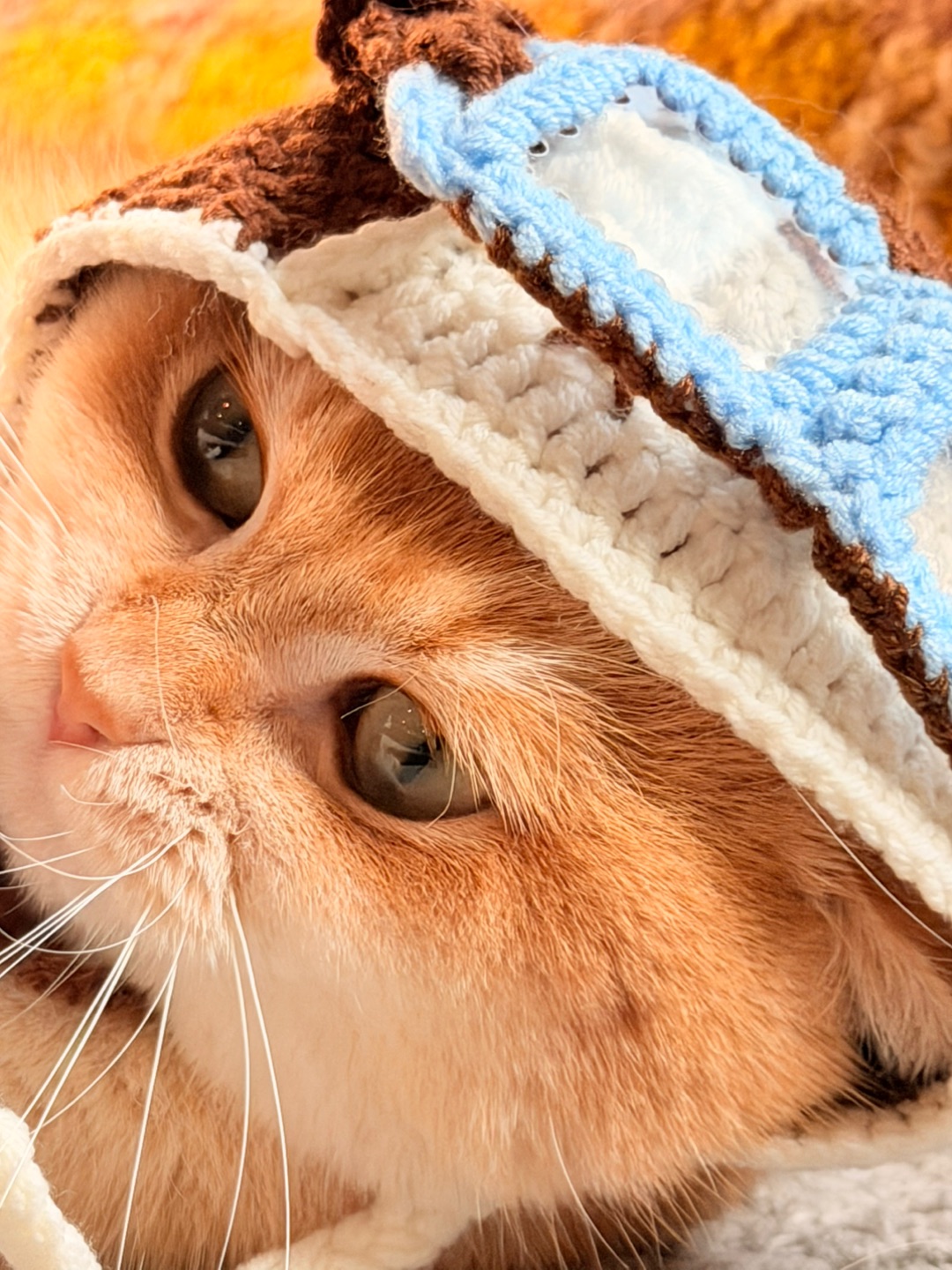 💭 虽然内心还是个软萌小可爱🫣