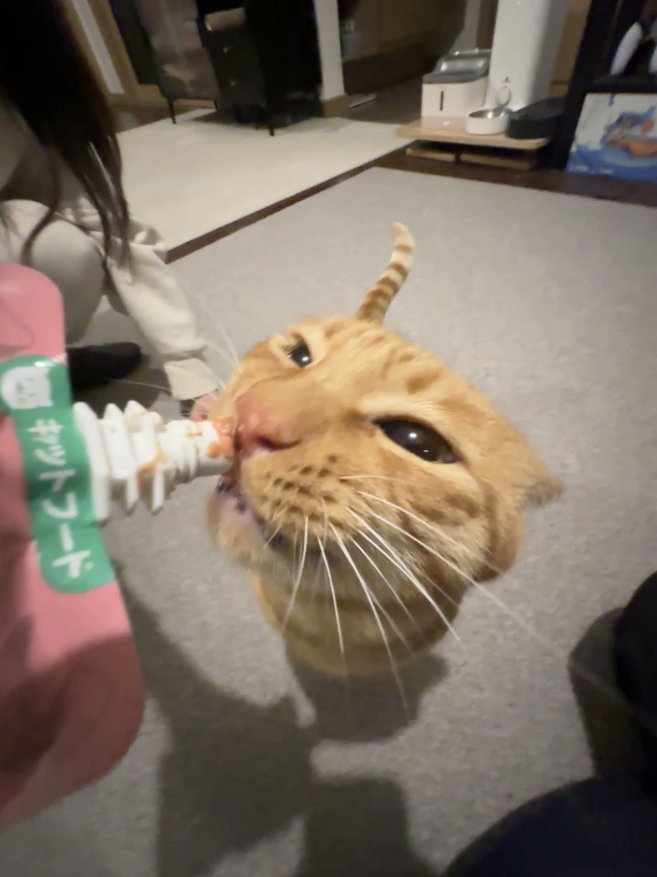 不知道啊咪的身材很曼妙