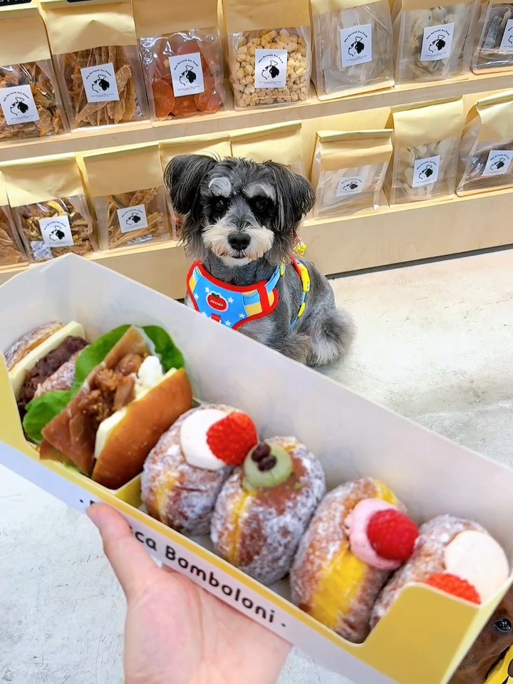 小狗请ee吃甜甜圈啦