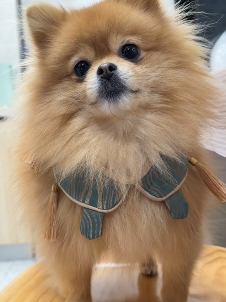 看，妈给我买的小云肩