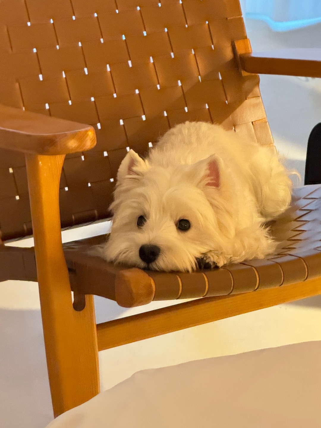 不可爱吗！宝不可爱吗！