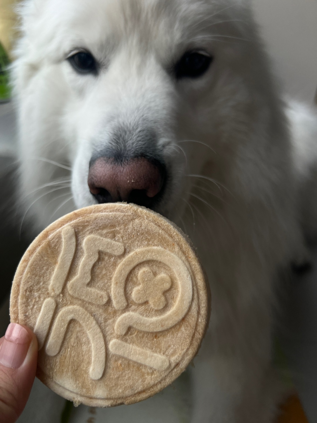 冻干大福饼酥酥脆脆