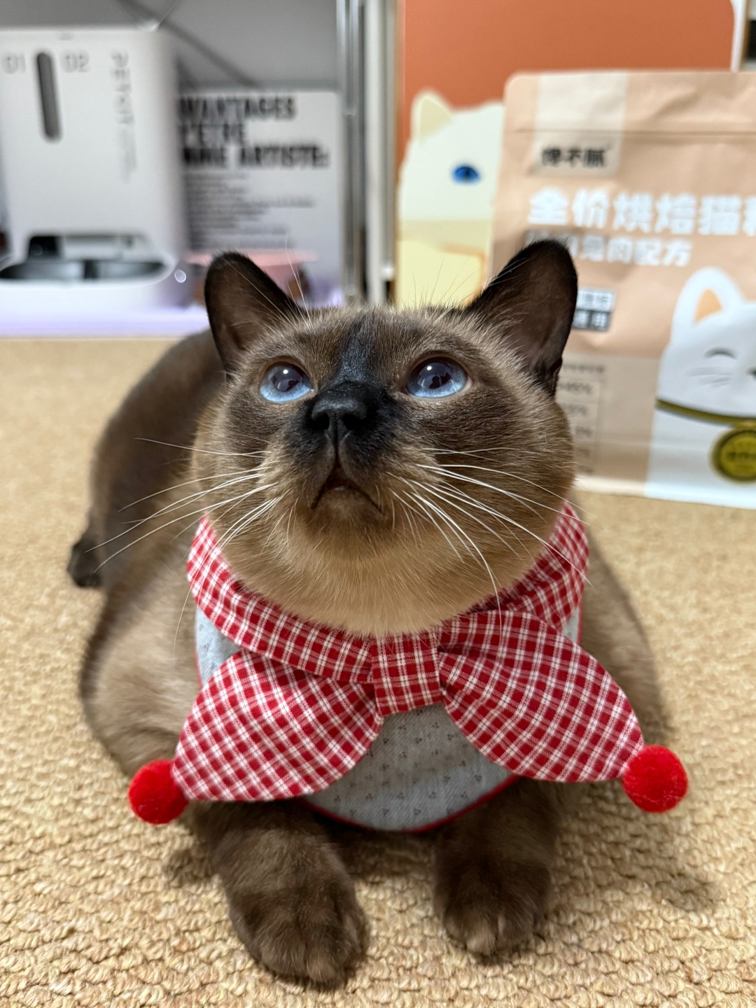 哈哈hi啊哈还哈哈哈哈可爱宝宝