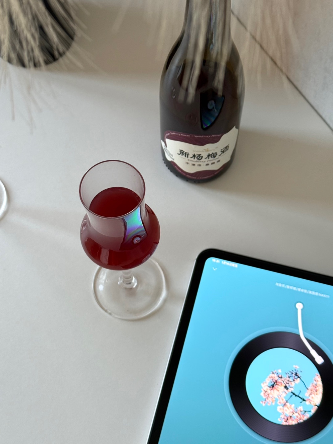 今年过年囤了好几箱这个酒庄级杨梅酒！