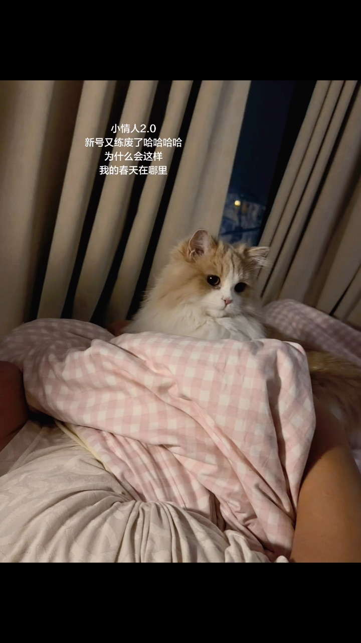 1.18  新号练废咯