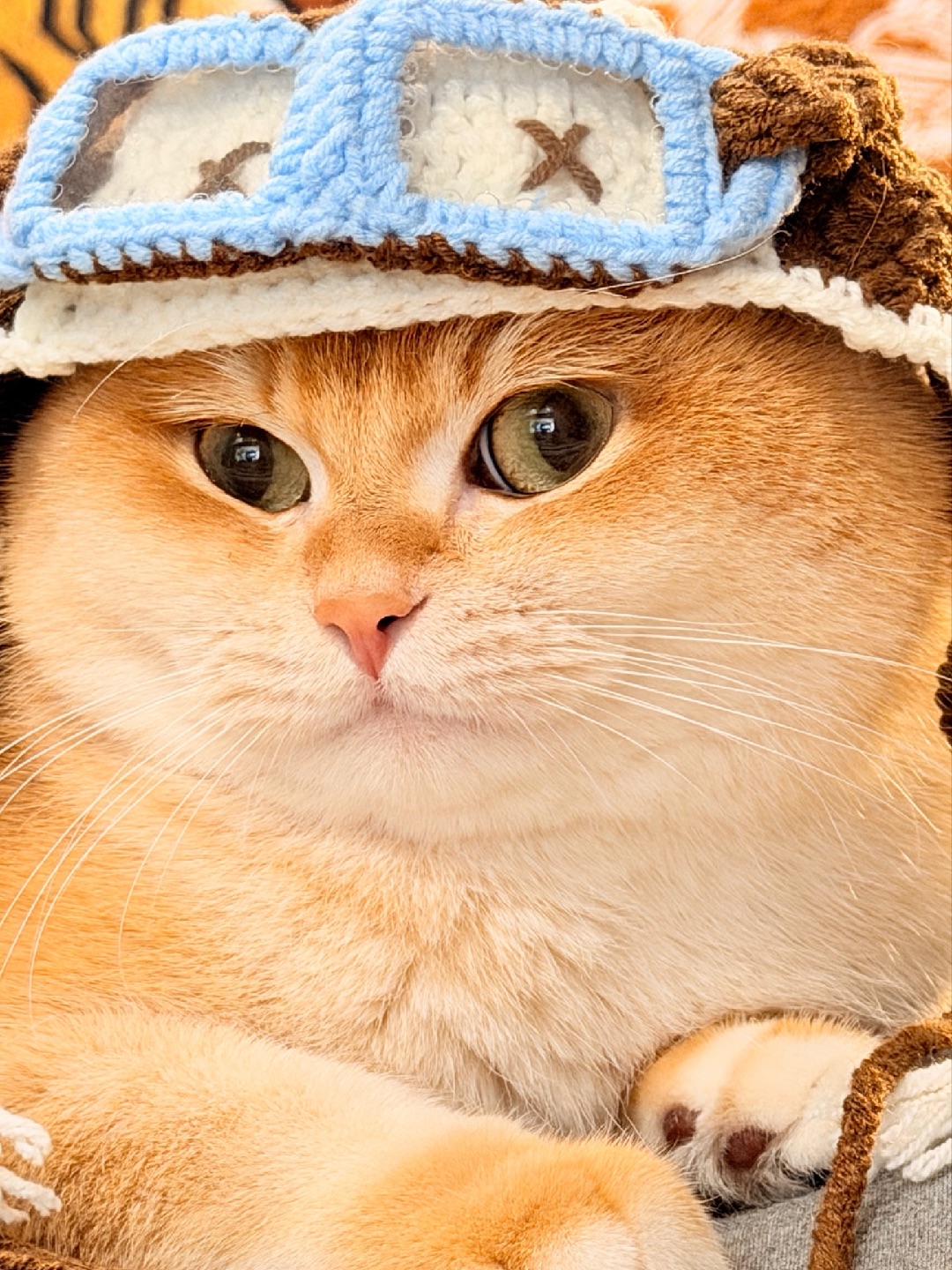 是开飞机的舒克？还是开坦克的贝塔？🤣