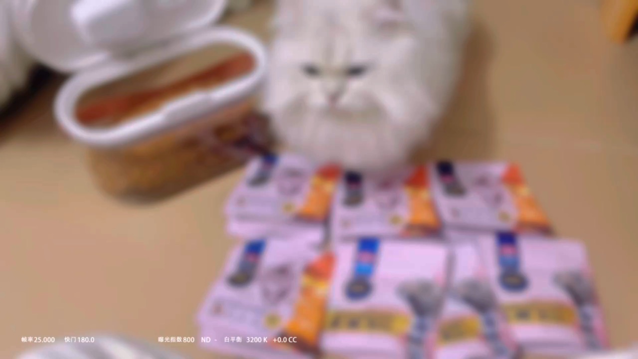 今天又是混粮的一天