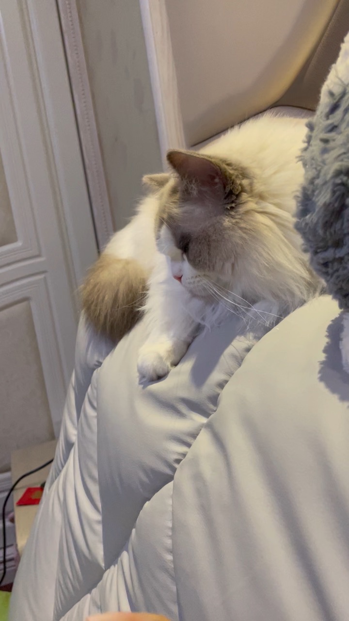 脾气真好啊乖乖 妈妈总是在你睡觉的时候骚扰你 这你不咬妈妈真是太神奇啦