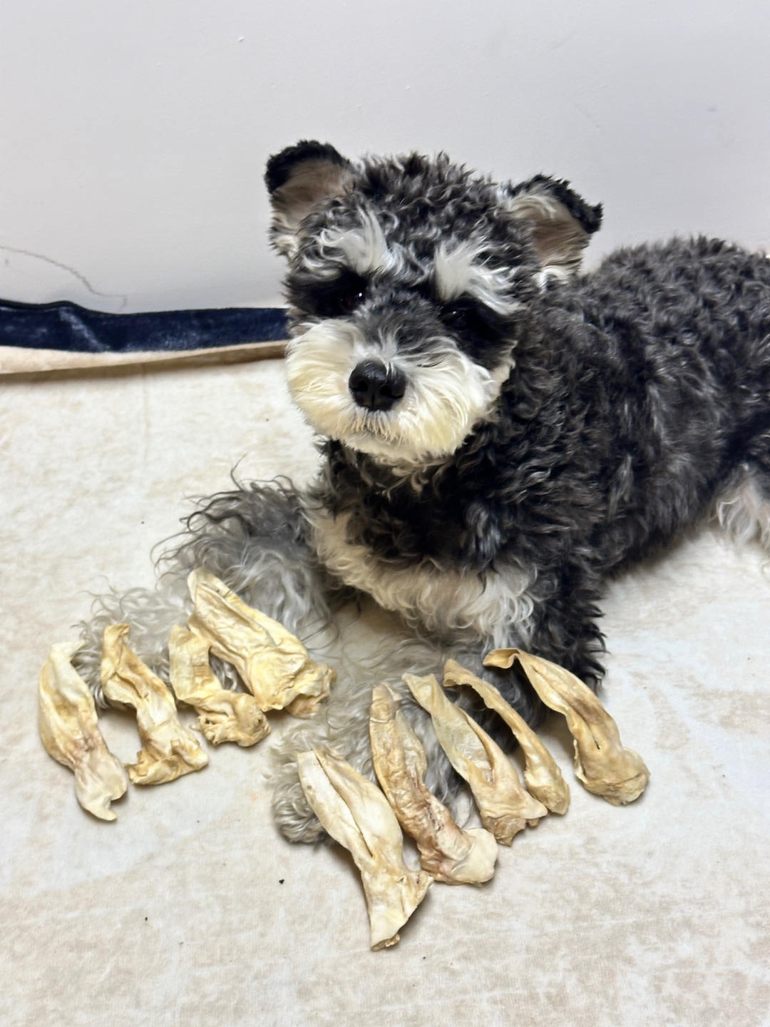 为了你我变成狼人模样