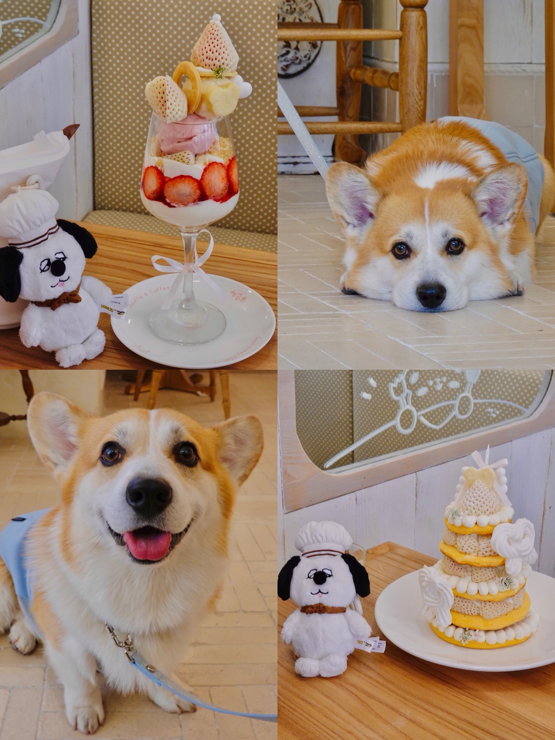 松饼配小狗🐕今日下午茶甜度100%🍰
