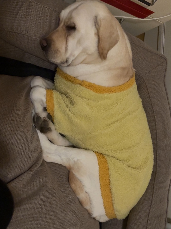 我又不上班 干嘛起床