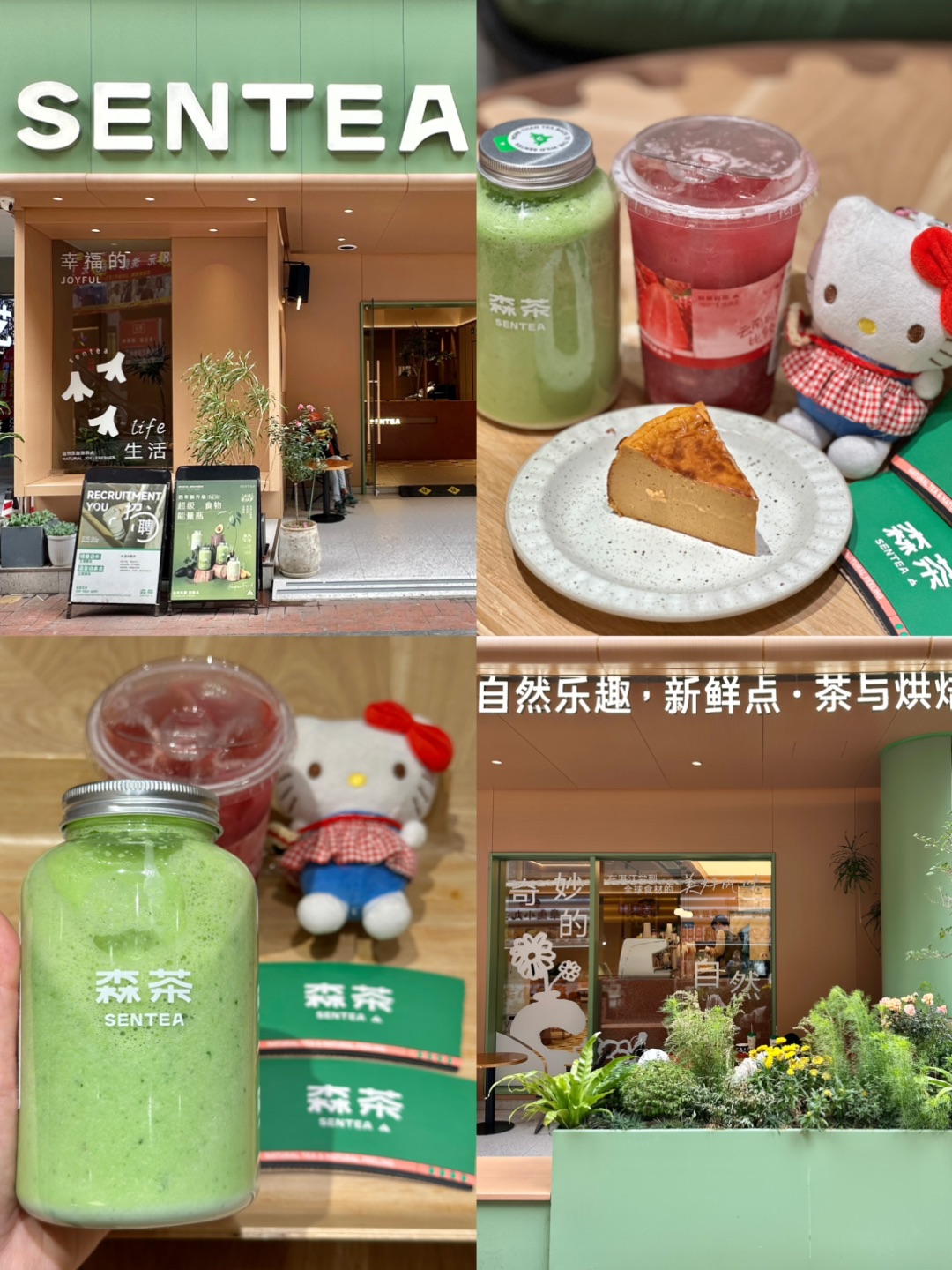 周末和姐妹来森茶相约 绿色系真滴好治愈 绿植与暖光交织 复古皮质卡座 每一处都藏着松弛感！  . 🔥推荐： ✔️牛油果羽衣糯糯瓶 牛油果的绵密裹着羽衣甘蓝的清新 糯米的软糯在舌尖打转 入口绵密细腻 ✔️鲜草莓冰芭乐 草莓的酸甜➕芭乐的独特香气 清爽又解腻 ✔️曼谷•泰茶巴斯克 泰式奶茶的浓郁茶香➕法式奶酪的咸香暴击 甜而不腻 味道蛮惊艳的！  - 💚：森茶（湛江万达店） 🈺：10:30-00:00...