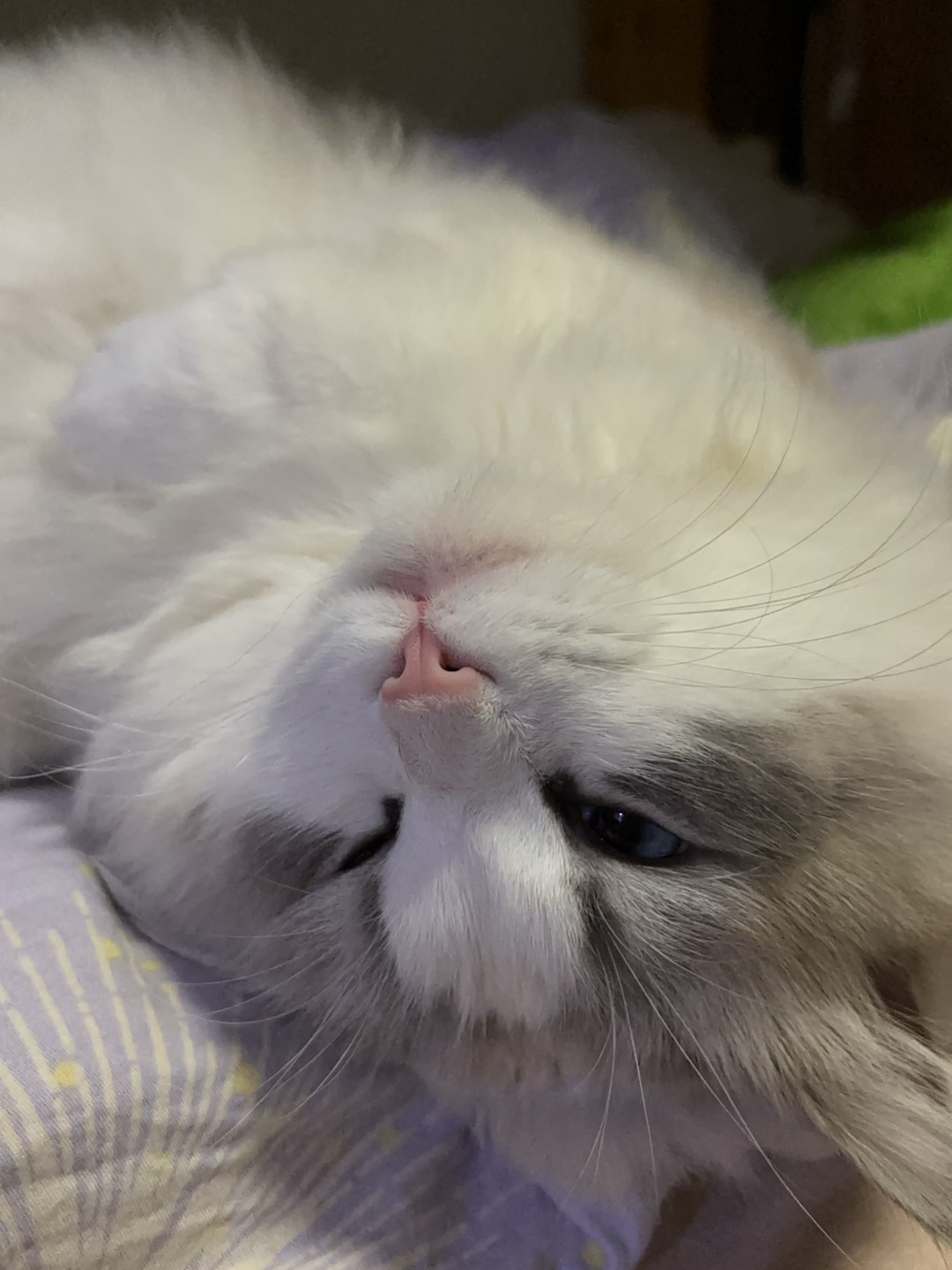 一只眼睡着一只眼醒着22